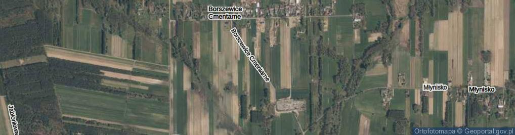 Zdjęcie satelitarne Borszewice Cmentarne ul.